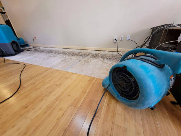 Professional Water Removal technician working in Williamsburg, IA